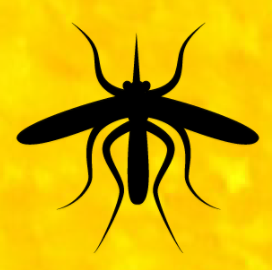 Mosquito