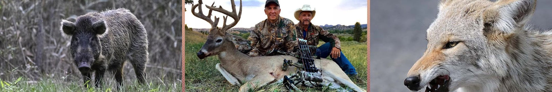 Hunting Attractants