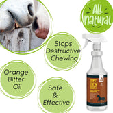 Don't Chew Dare! Horse Chewing Prevention
