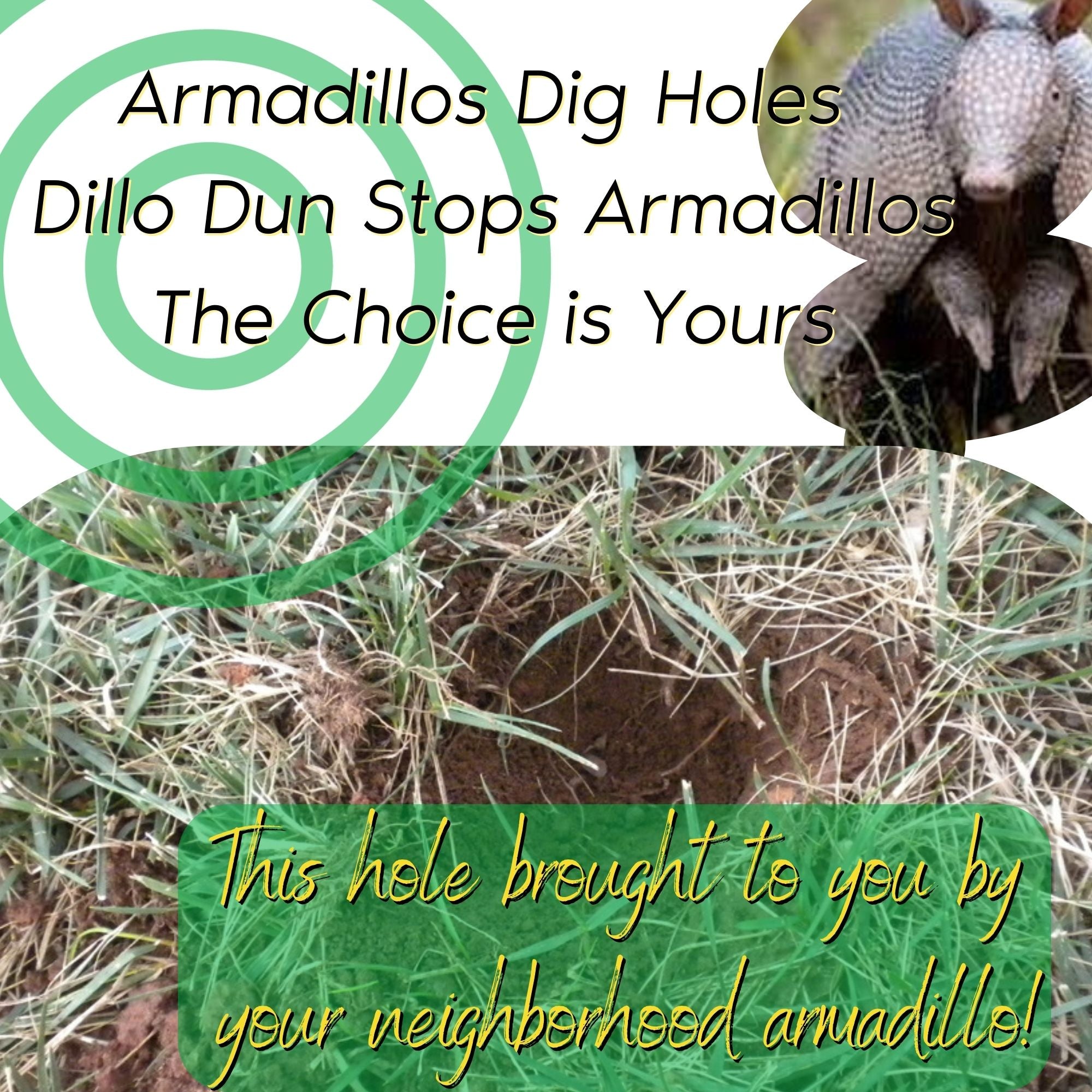 Dillo Dun Armadillo Repellent - Animal Repellent