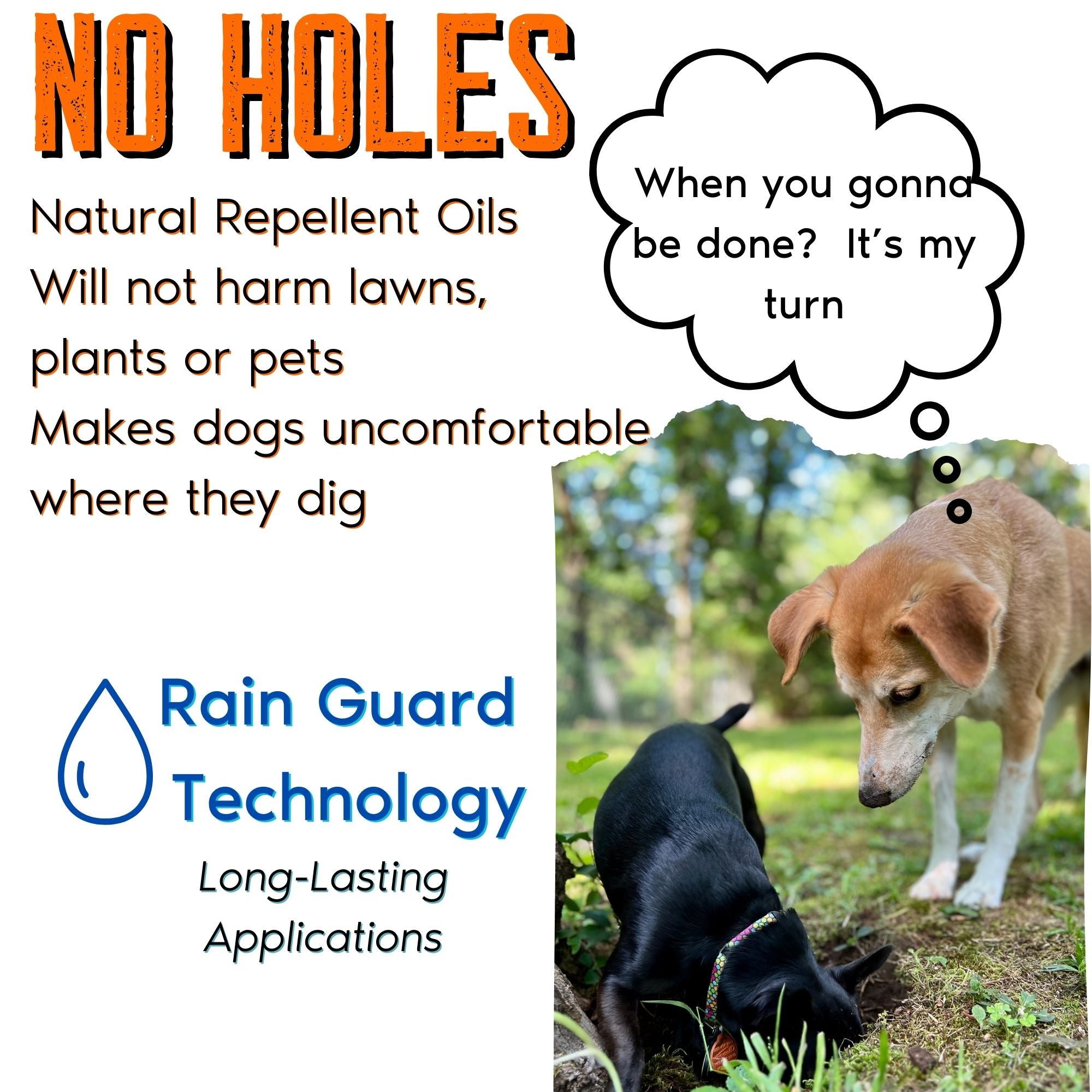 No Holes! Digging Prevention Gallon Trigger Sprayer - Pet Training Aids