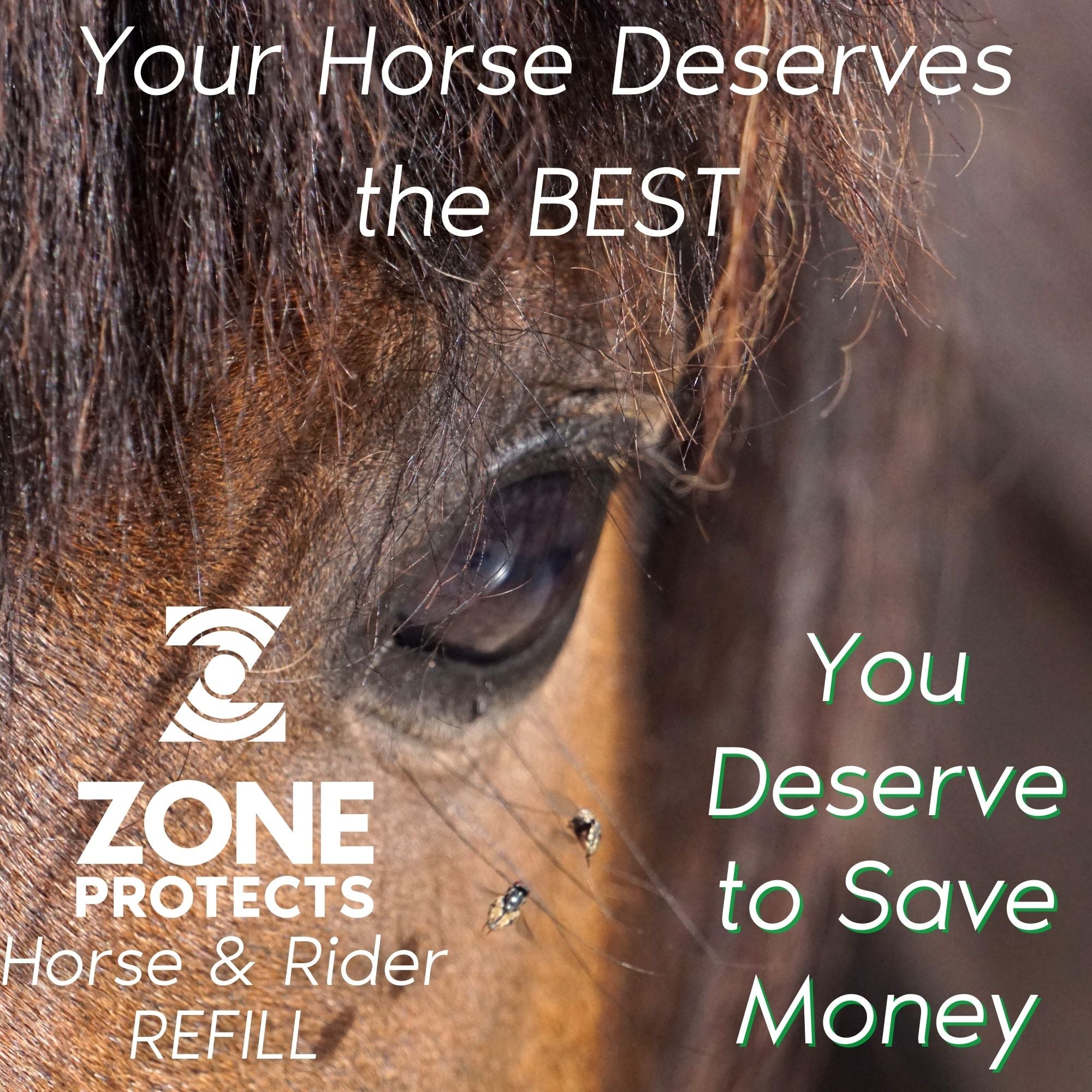 Horse & Rider Fly & Insect Repellent Spray, 32oz Trigger Sprayer