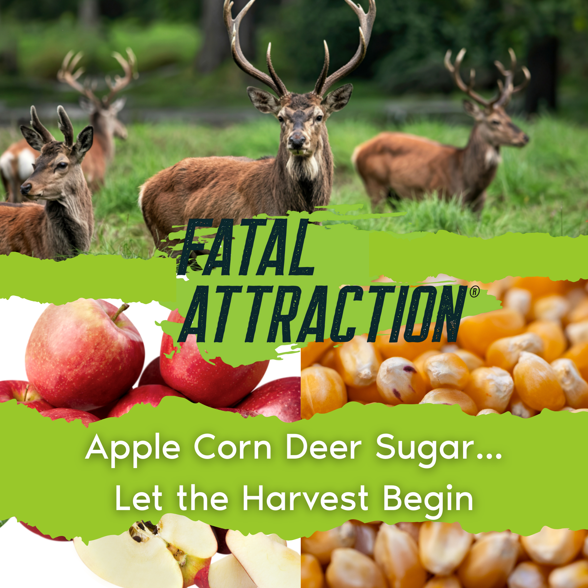 Deer Sugar Attractant; Realtree Fatal Attraction Apple Corn Flavor