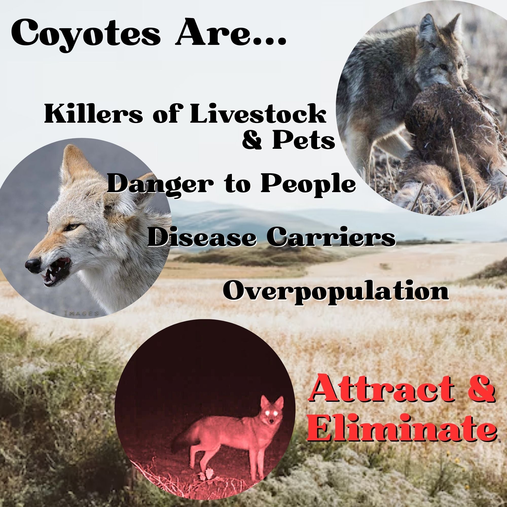 Coyote Cologne Predator Attractant, 8oz Spray
