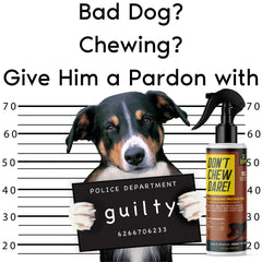 Chewing Prevention; Don’t Chew Dare! 8oz Spray - Pet Training Aids