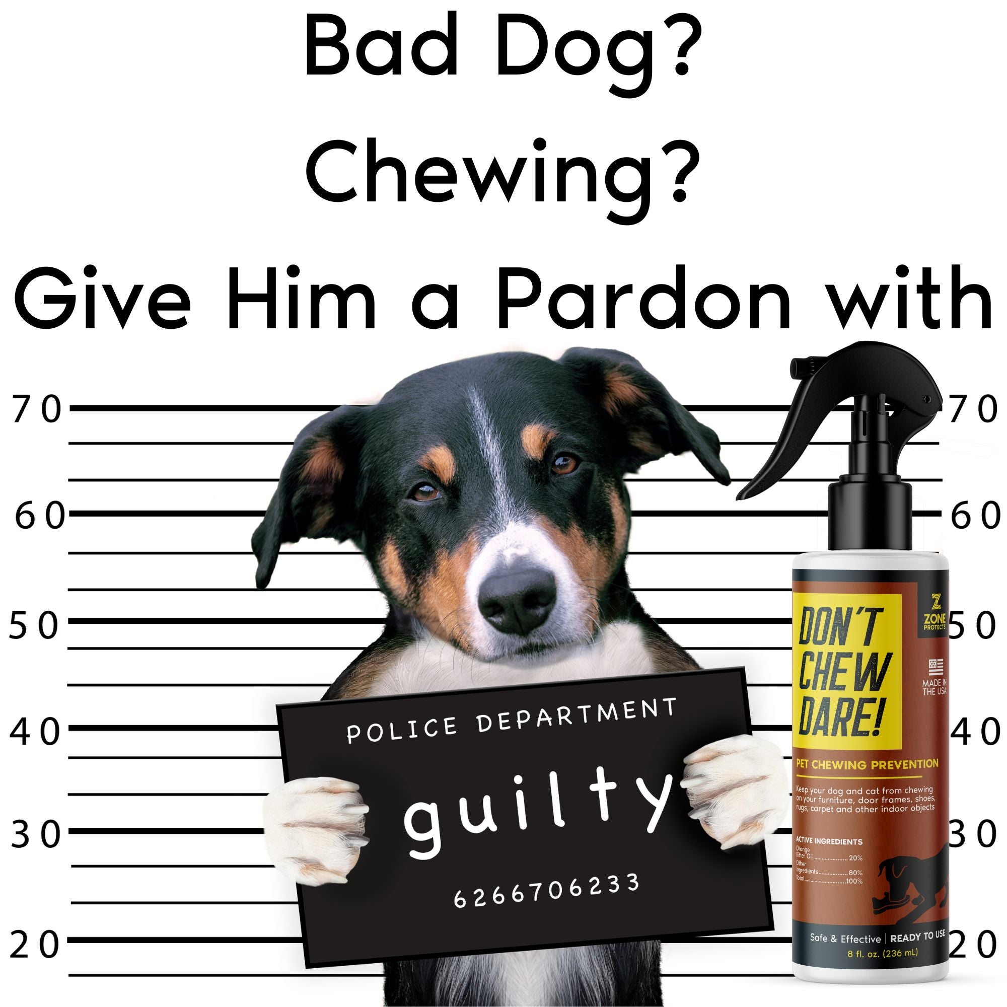 Don't Chew Dare! Pet Chewing Prevention, 8oz Trigger Spray, Twin Pack