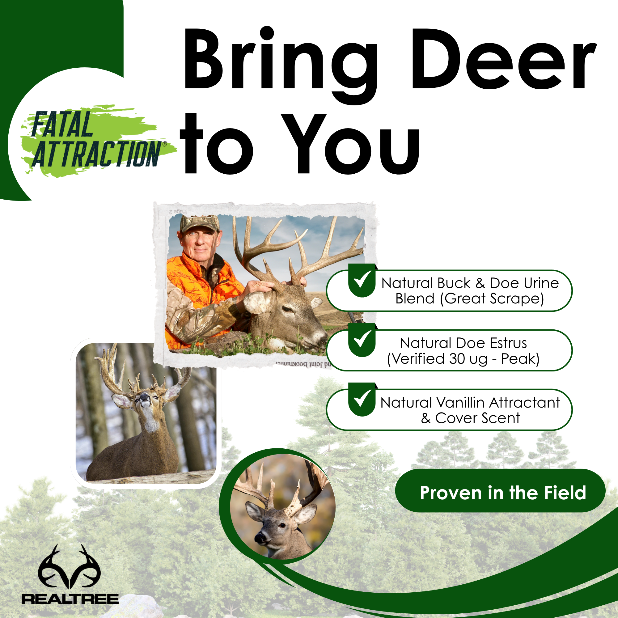 Deer Magnet Bundle (Peak Doe + Great Scrape, Deer Sugar Vanillin and Apple Corn)