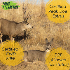 Deer Attractant; Realtree Fatal Attraction Deer Attractant Peak Doe Estrus - Deer Attractant