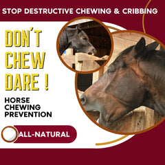 Don't Chew Dare! Horse Chewing Prevention
