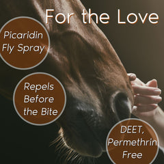Horse & Rider Equine Fly/Insect Repellent Spray 32oz - Insect Repellent