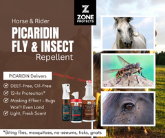 Horse & Rider Fly/Insect Repellent Starter Pack