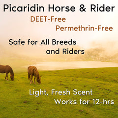 Horse & Rider Equine Fly/Insect Repellent Continuous Spray - Insect Repellent