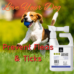 Flea and Tick Yard Spray Insecticide Hose End Sprayer - Insecticide