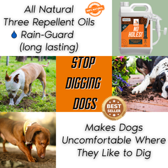 No Holes! Digging Prevention Gallon Trigger Sprayer