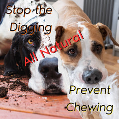 Chewing/Digging Prevention; Bad Dog Training Bundle Redirect - Pet Training Aids